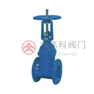Z45X-10、Z45X-16 彈性座封閘閥